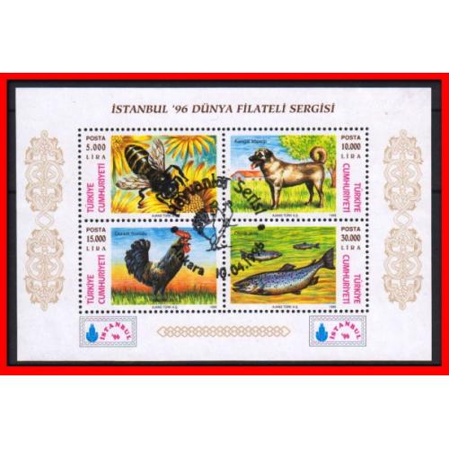 1996 Türkiye. istanbul 96 Pul Sergisi. Özel Blok. ilk gün Özel Damgalı