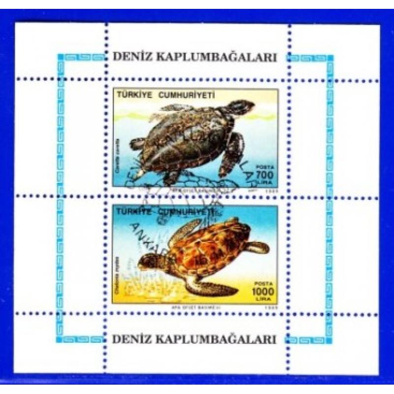 1989 Türkiye. Deniz Kaplumbağaları. Özel Blok. ilk gün Özel Damgalı